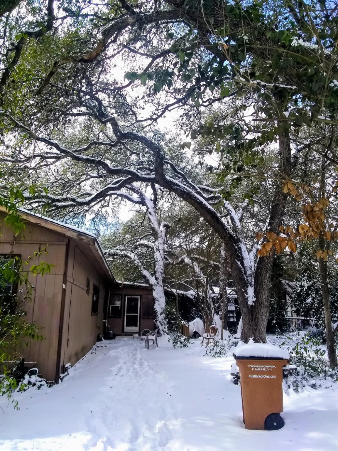 8002 Persimmon TRL — photo 4