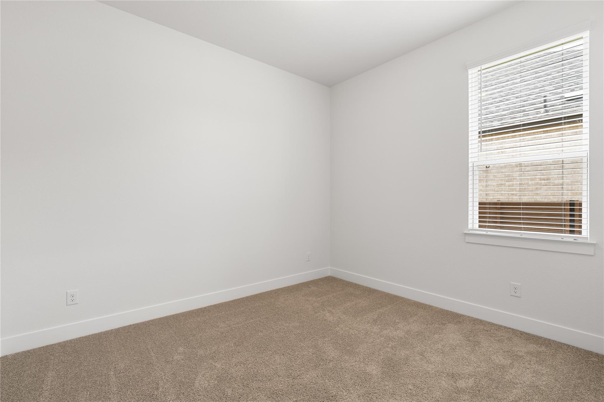 2105 Tobiano TRCE — photo 4