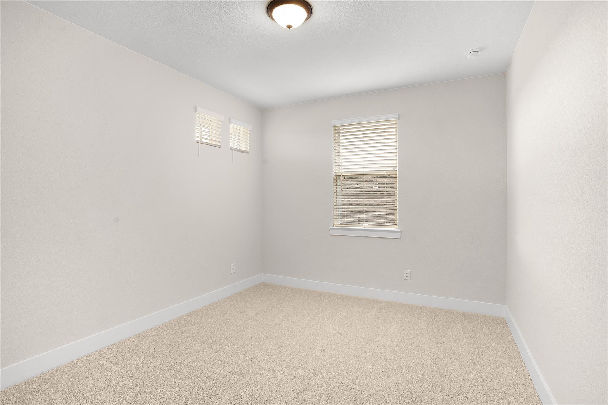 2116 Tobiano TRCE — photo 5