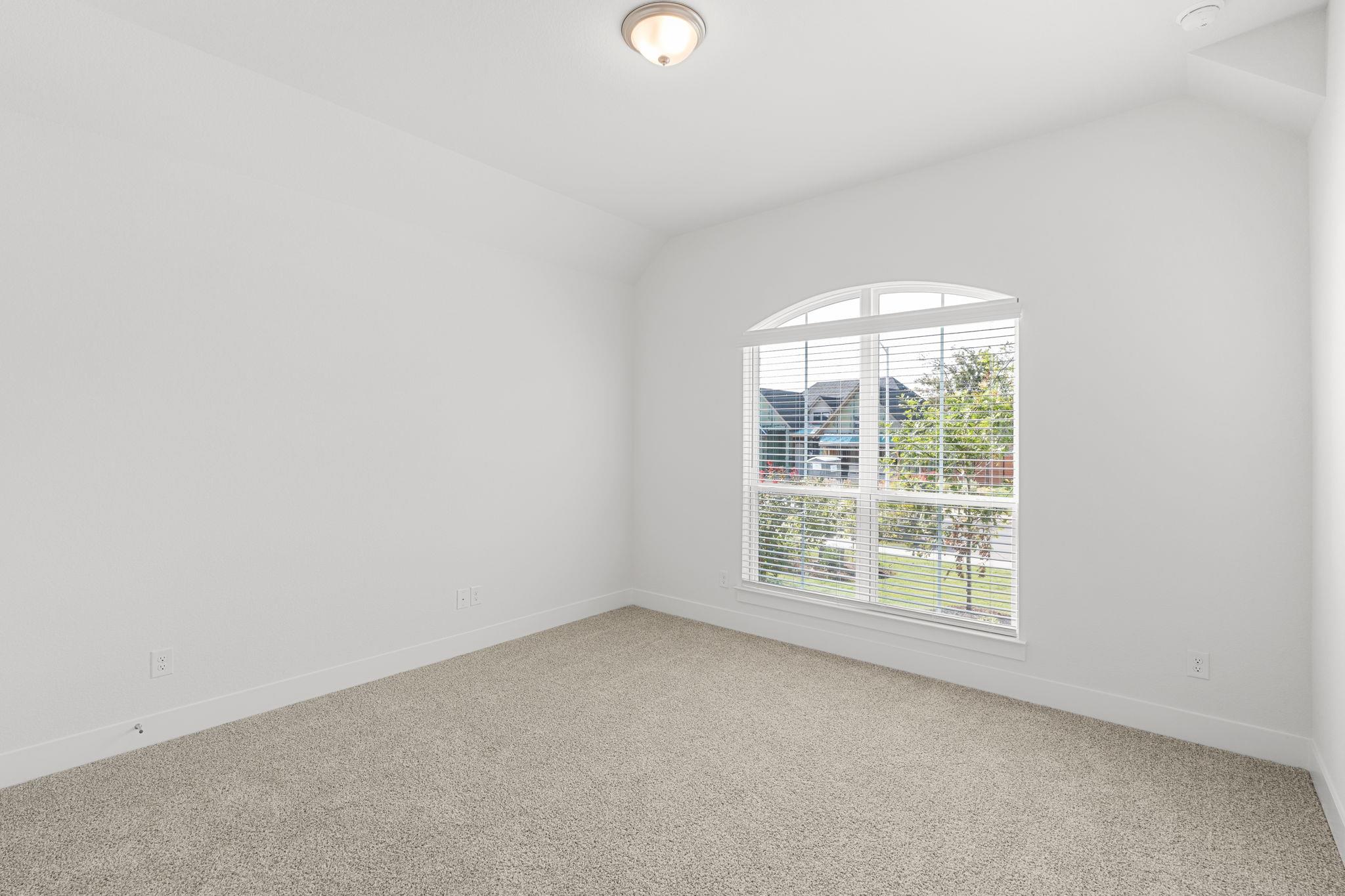 2212 Tobiano TRCE — photo 5