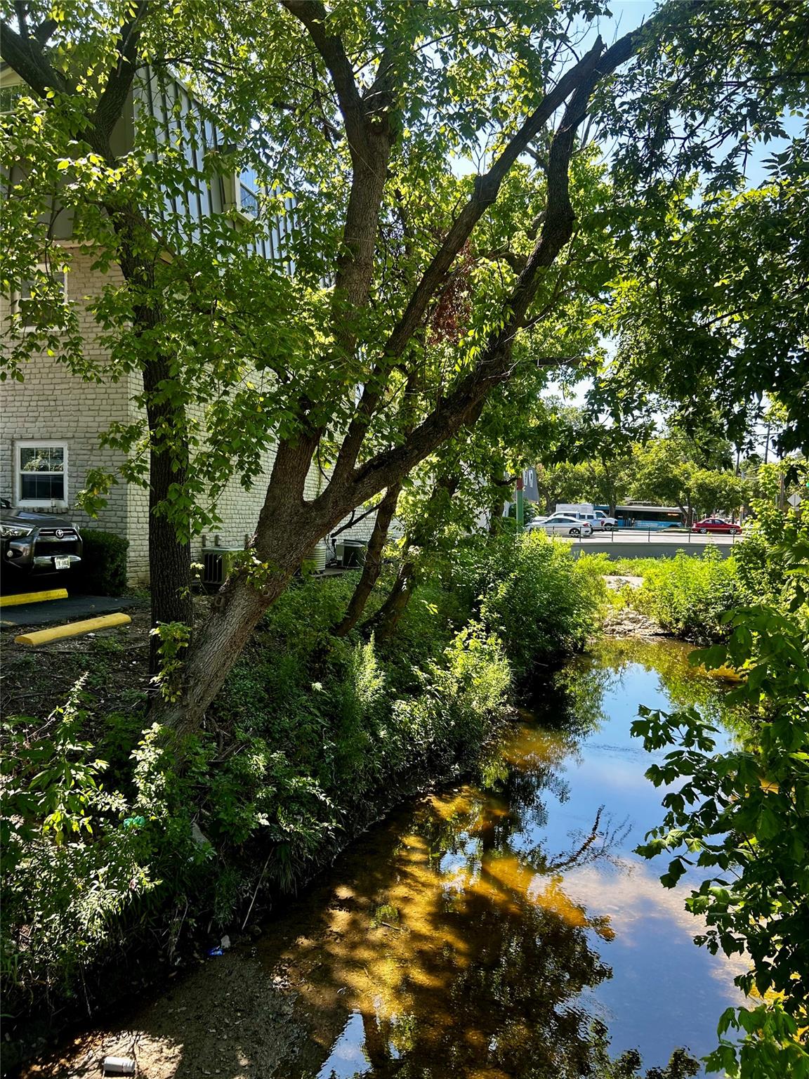 4410 Avenue F #211 — photo 3