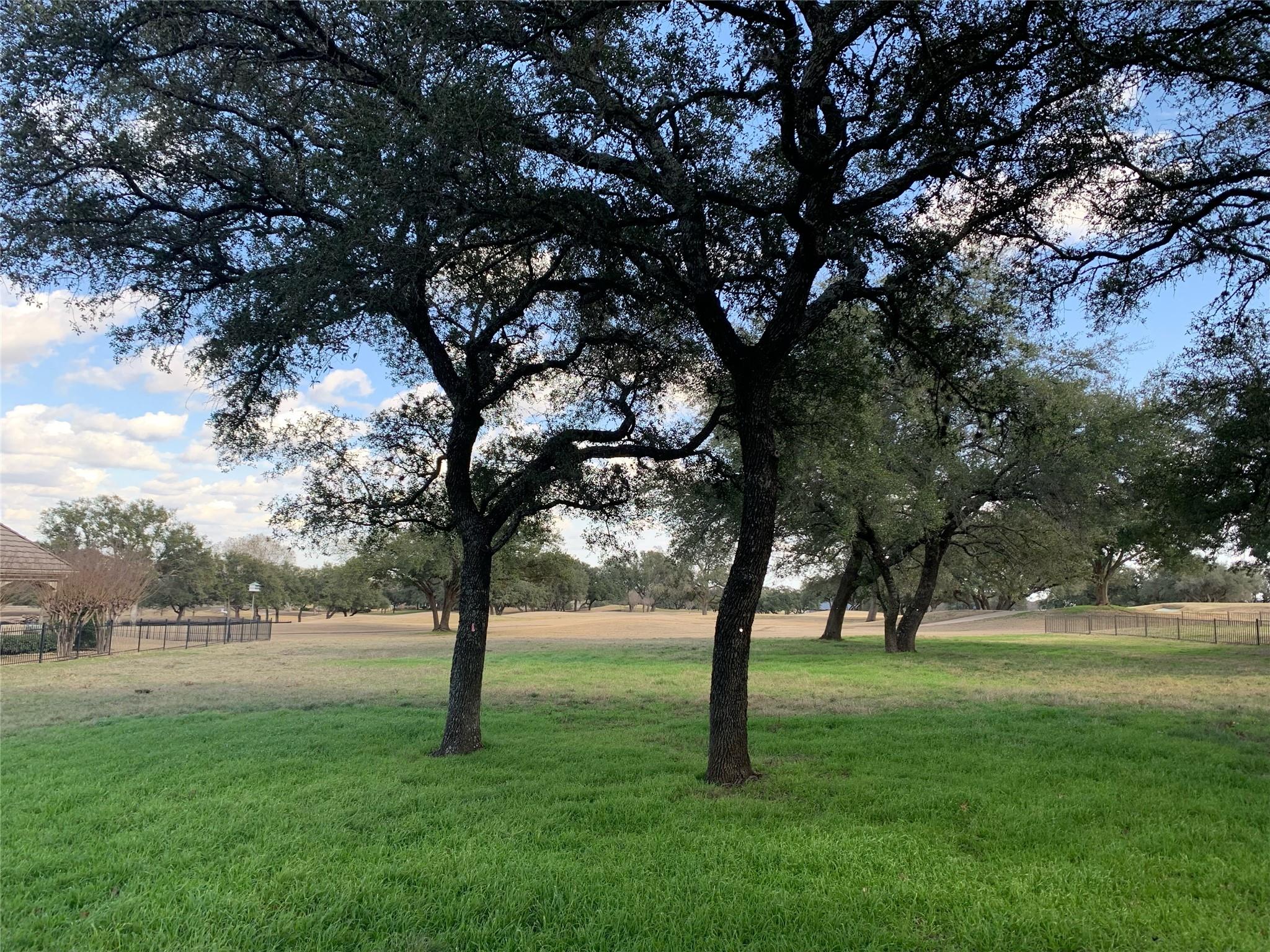 27029 Masters Pkwy. — photo 4