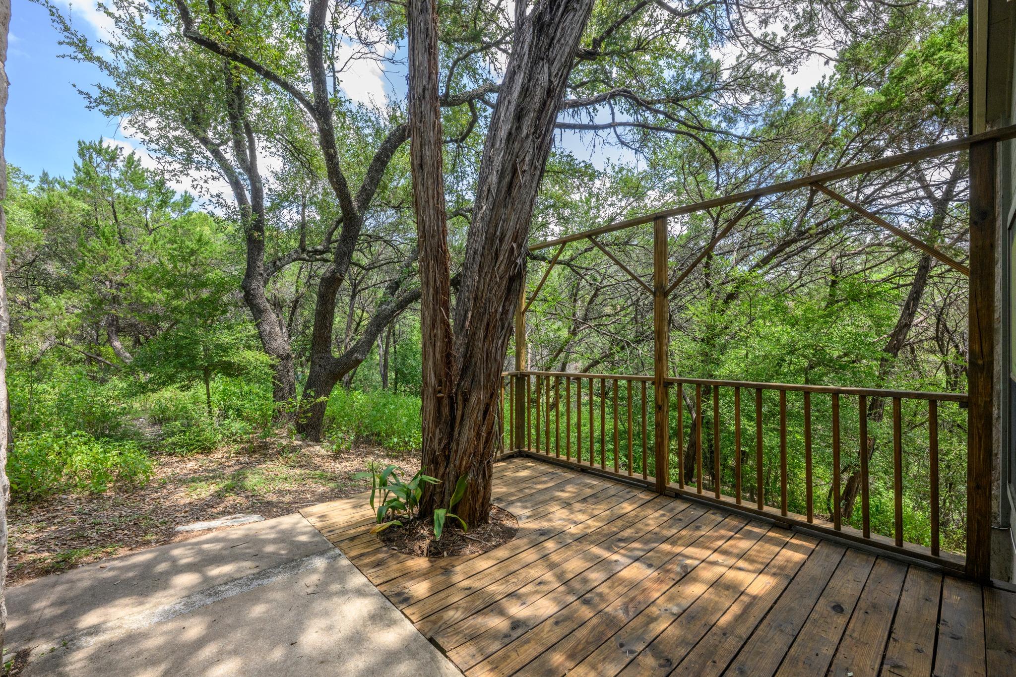 6702 Cat Creek TRL — photo 5