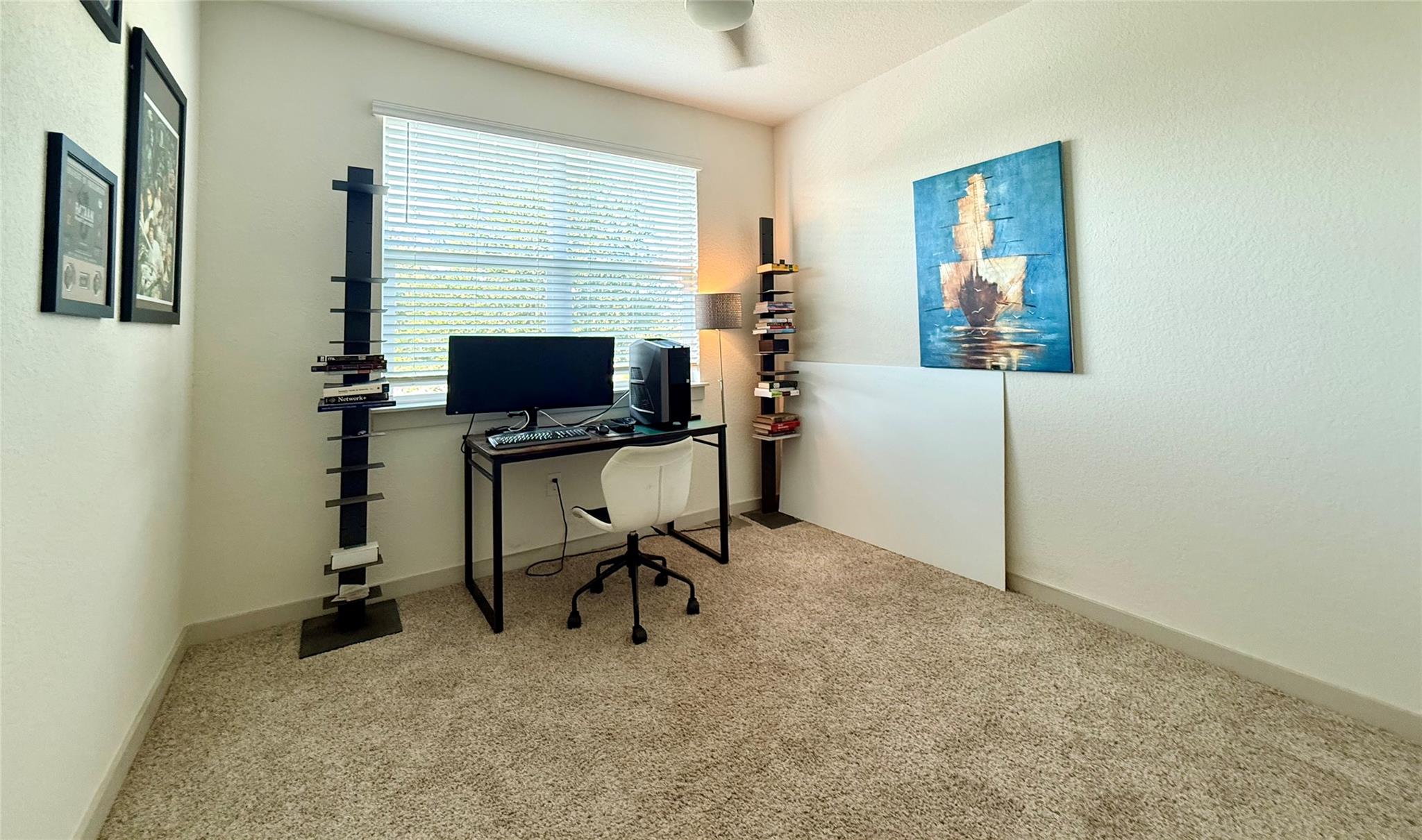 160 Filifera CT — photo 3