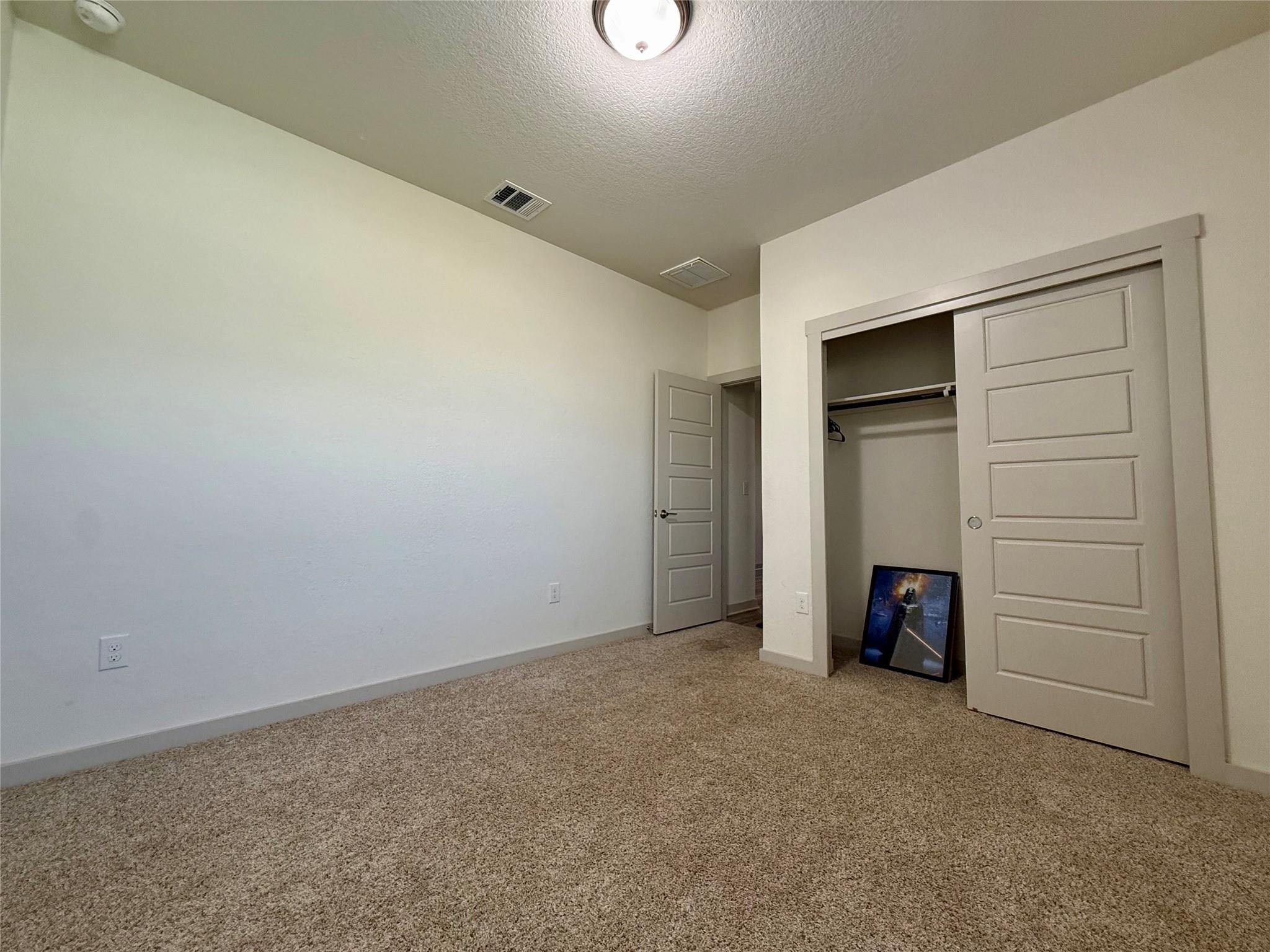 160 Filifera CT — photo 5