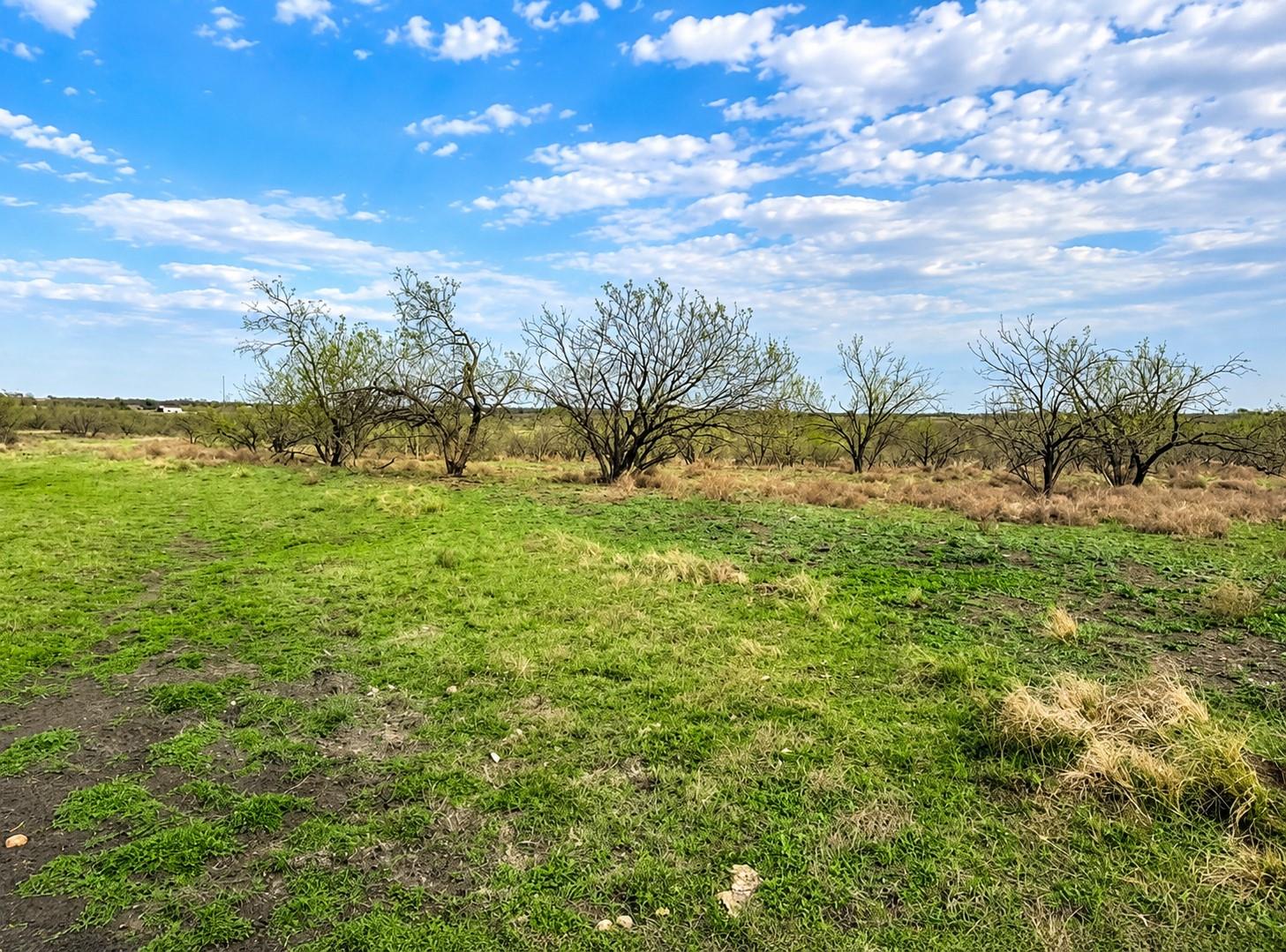 TBD County Road 108 — photo 4