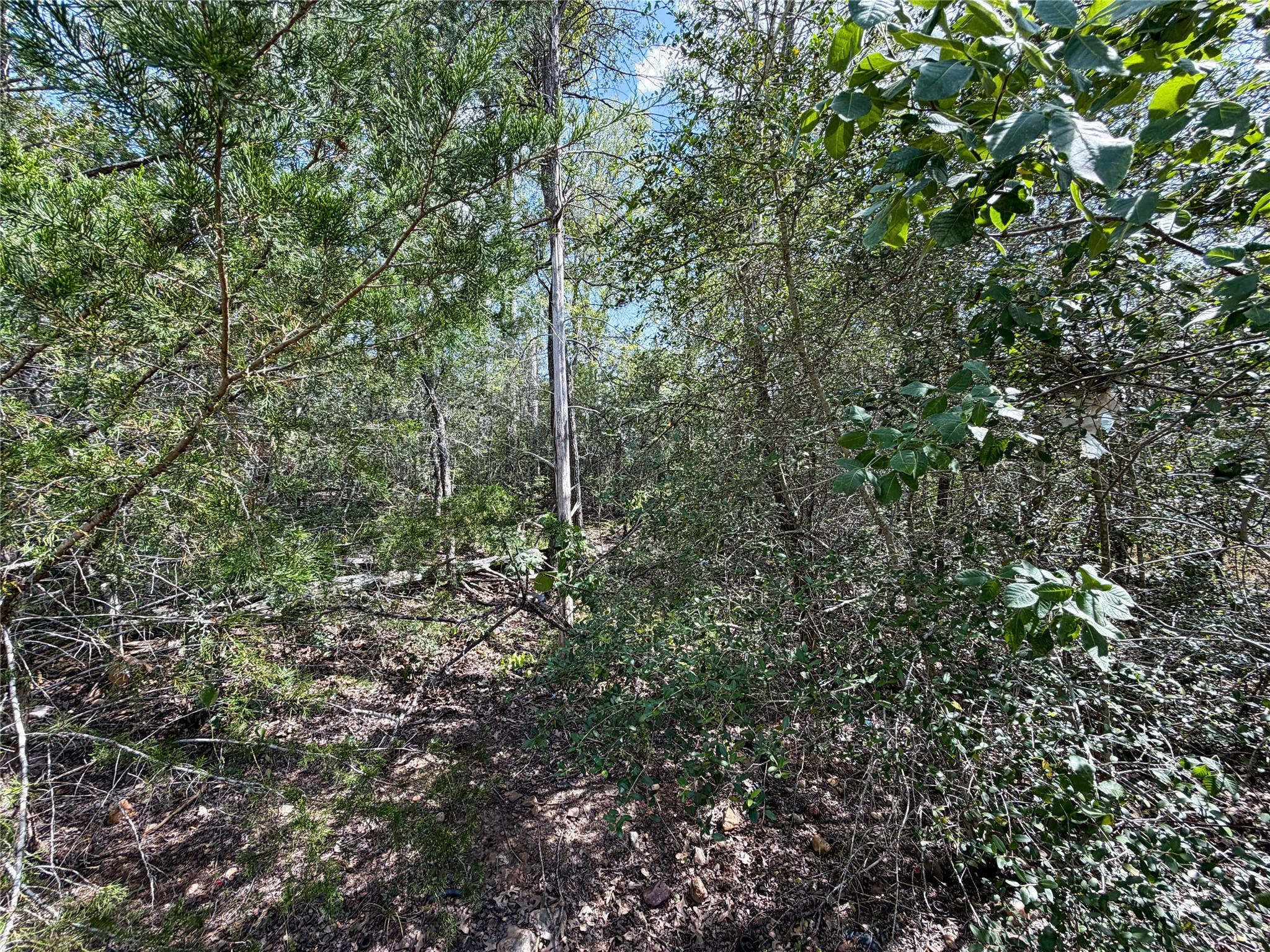 103 Nuupia CT — photo 4