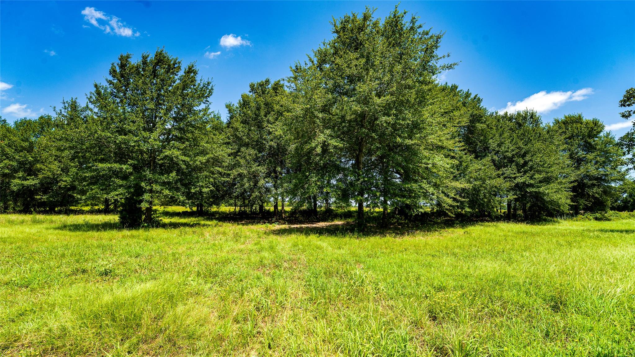TBD CR 357 — photo 3