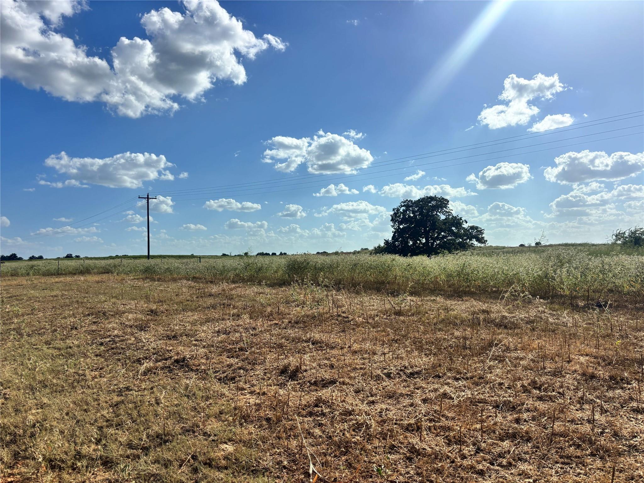 TBD County Road 326 - Tract 2 — photo 3