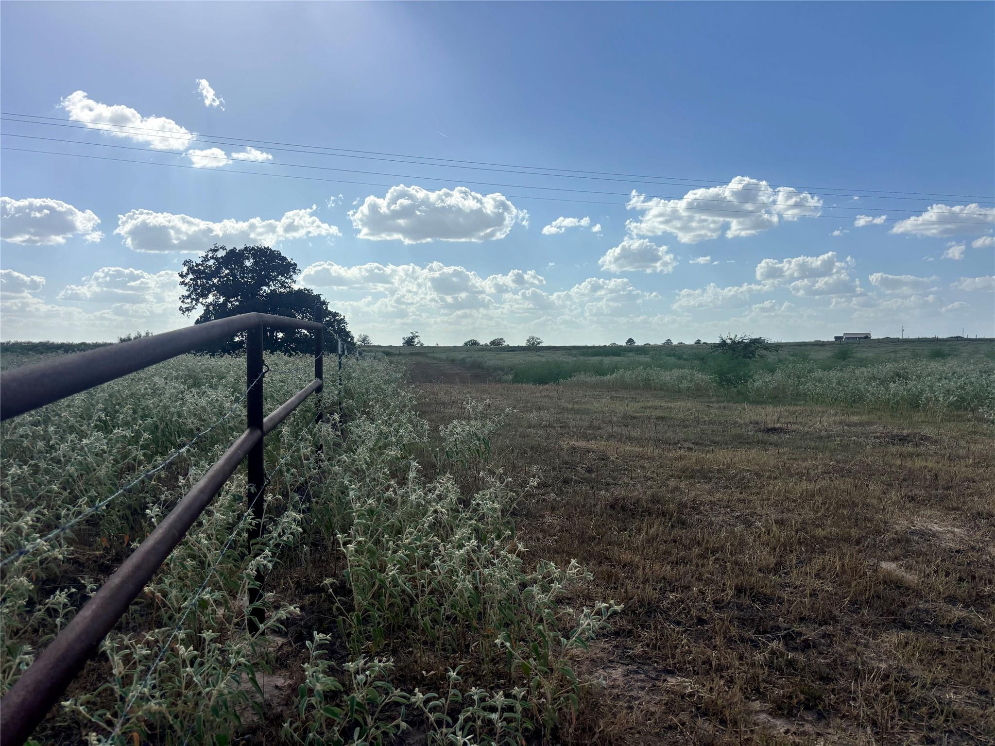 TBD County Road 326 - Tract 2 — photo 4
