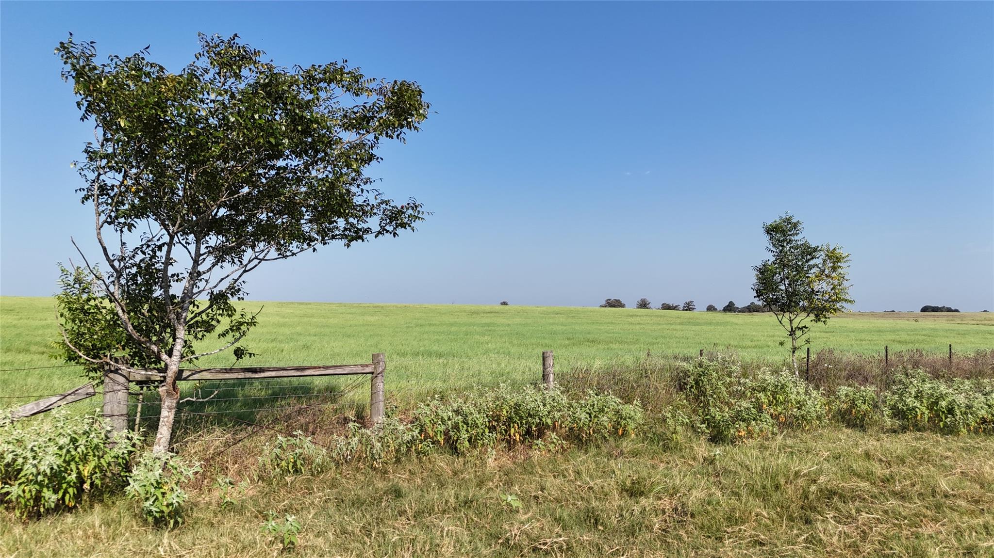 TBD County Road 326 - Tract 5 — photo 4