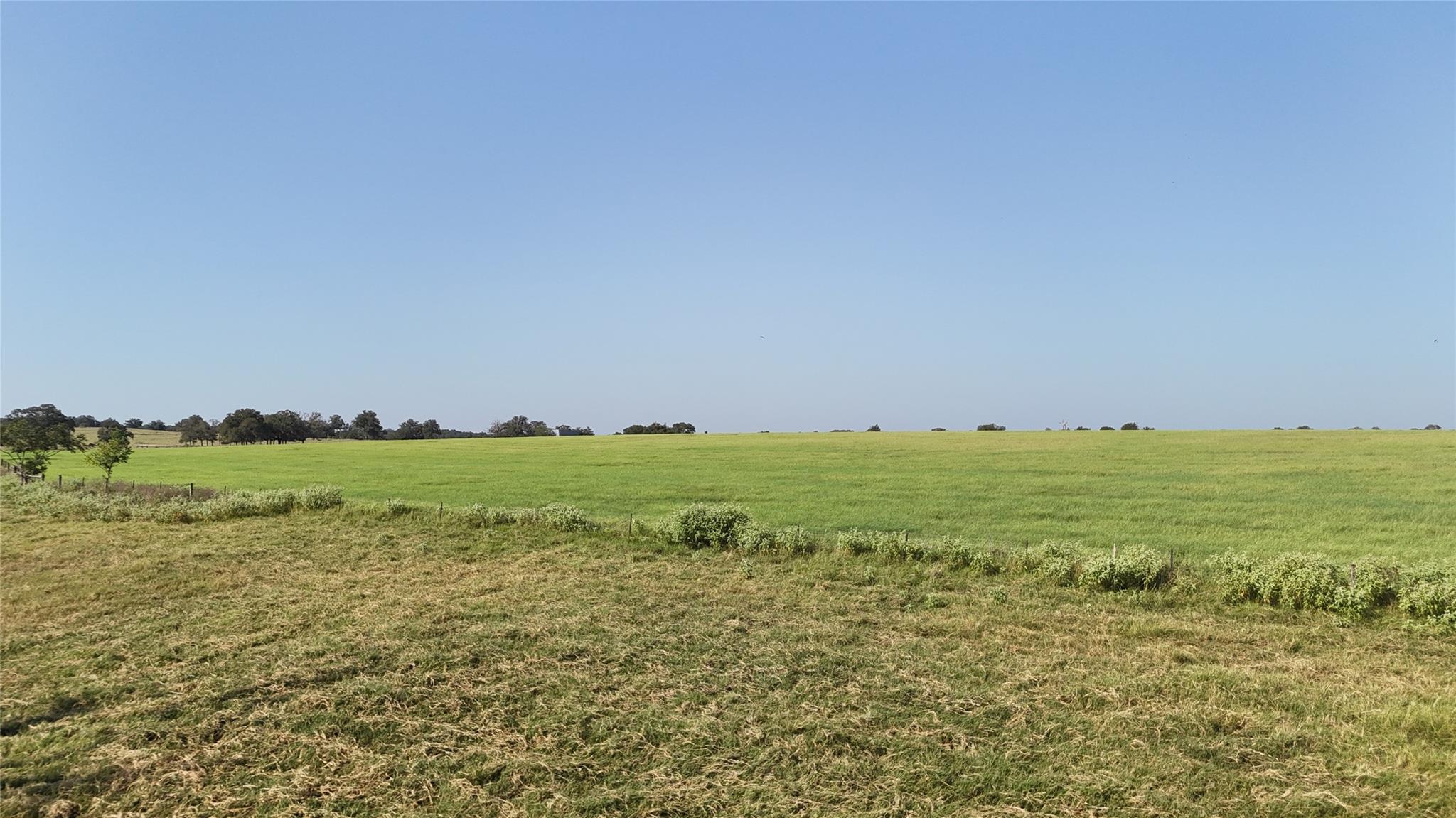 TBD County Road 326 - Tract 5 — photo 5