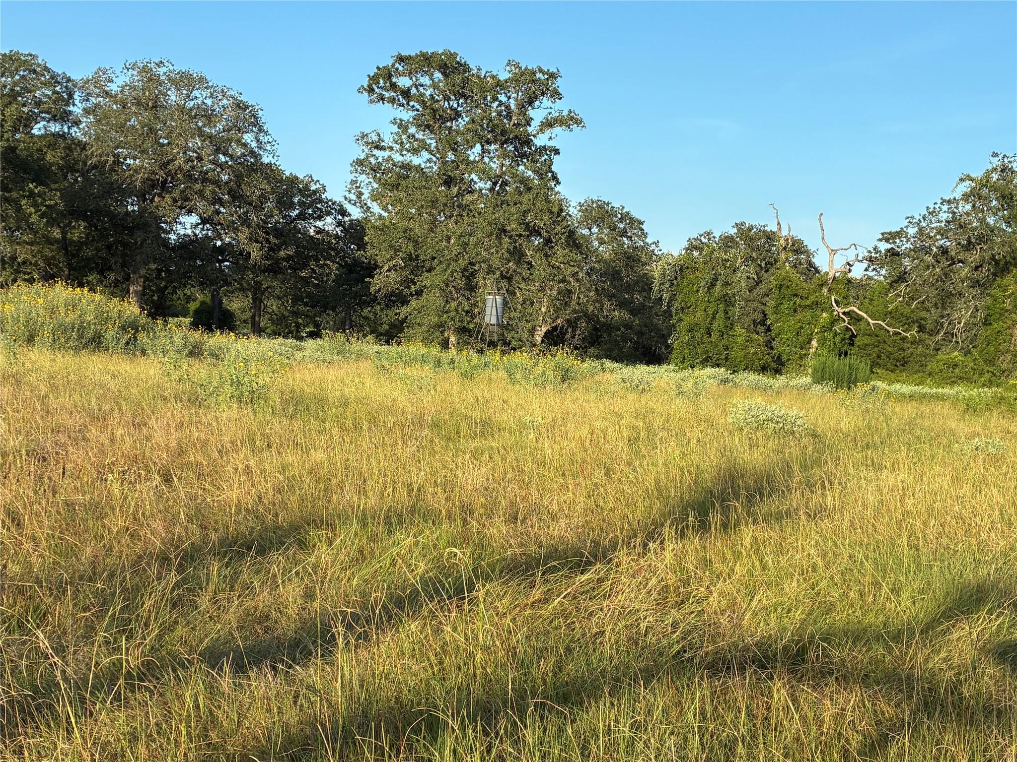 2933 County Road 457