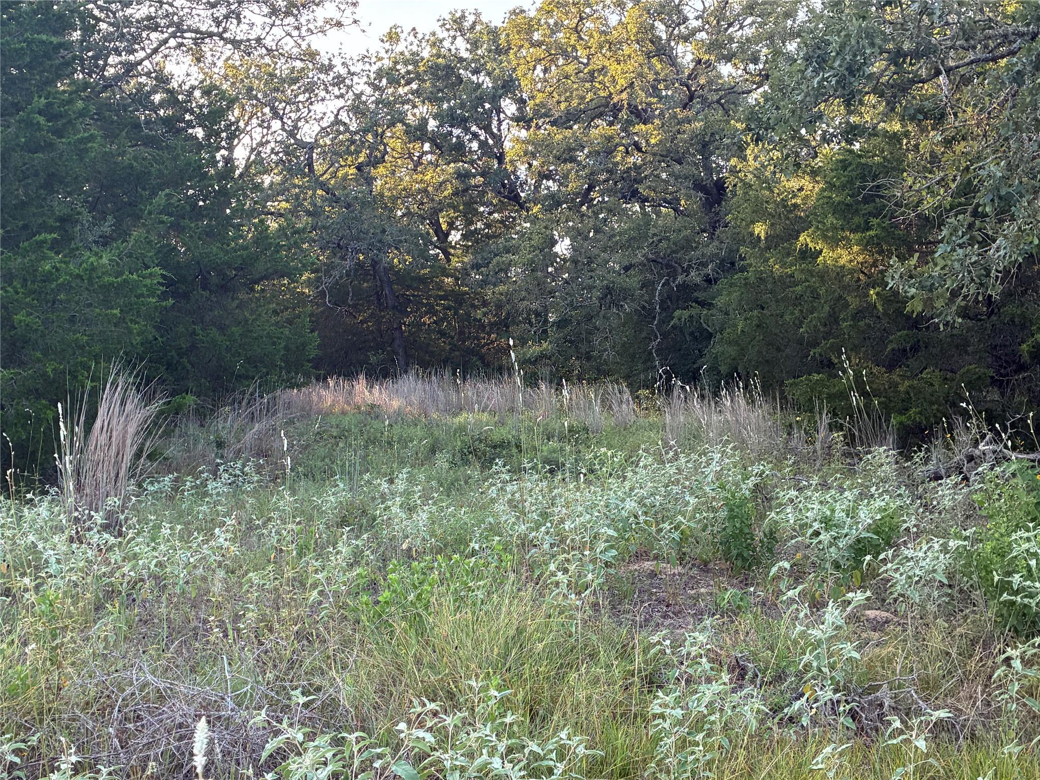 2933 County Road 457 — photo 5