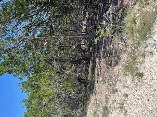 TBD CR 2644 — photo 3