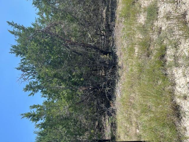 TBD CR 2644 — photo 5
