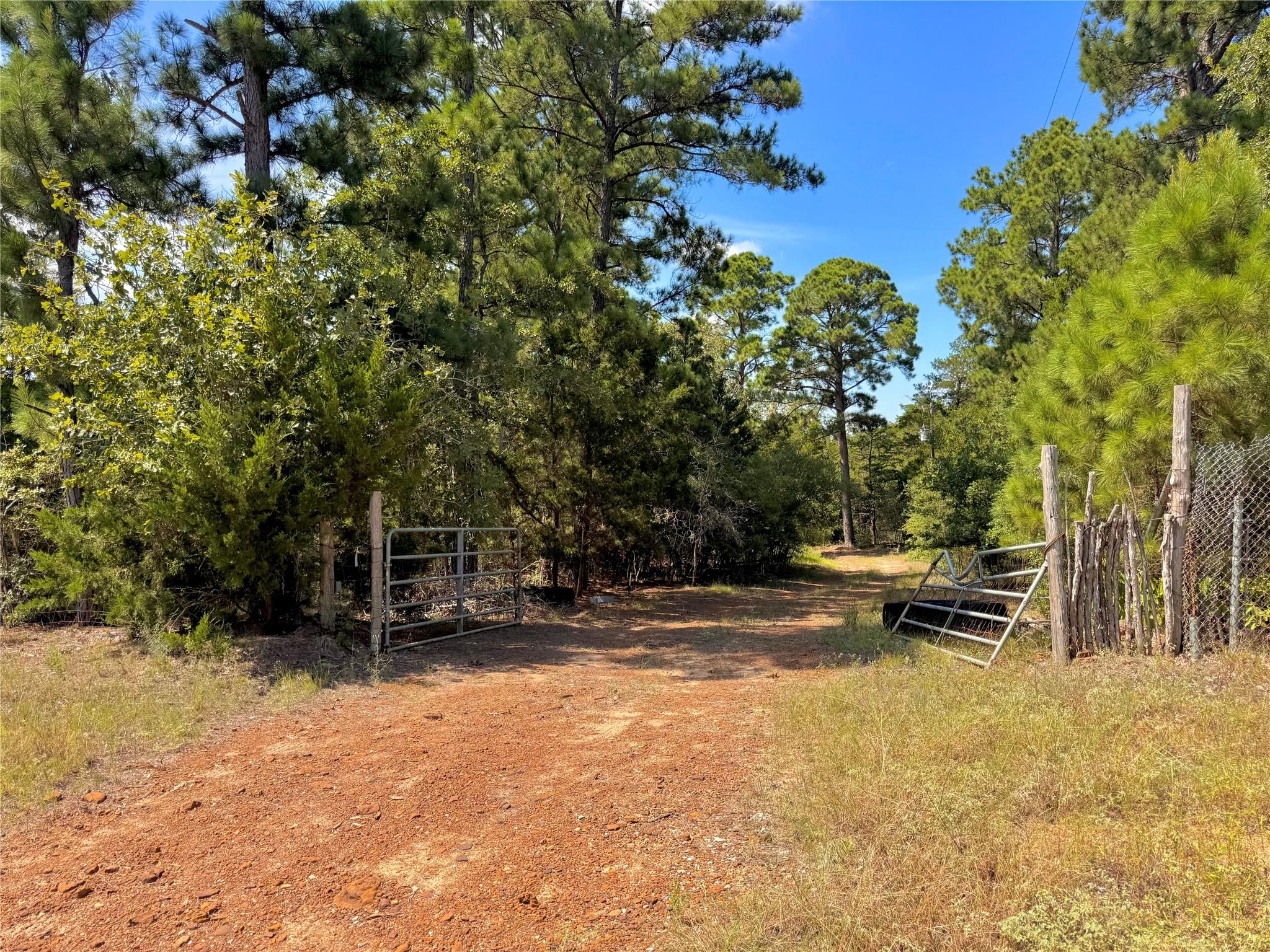 445 Pine Valley LOOP