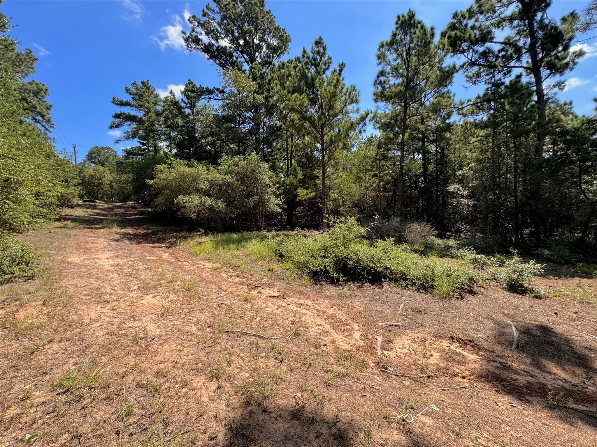 445 Pine Valley LOOP — photo 3