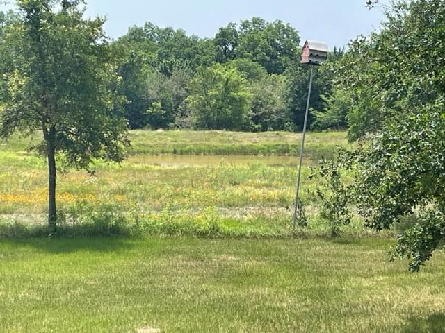 1010 County Road 490 — photo 5