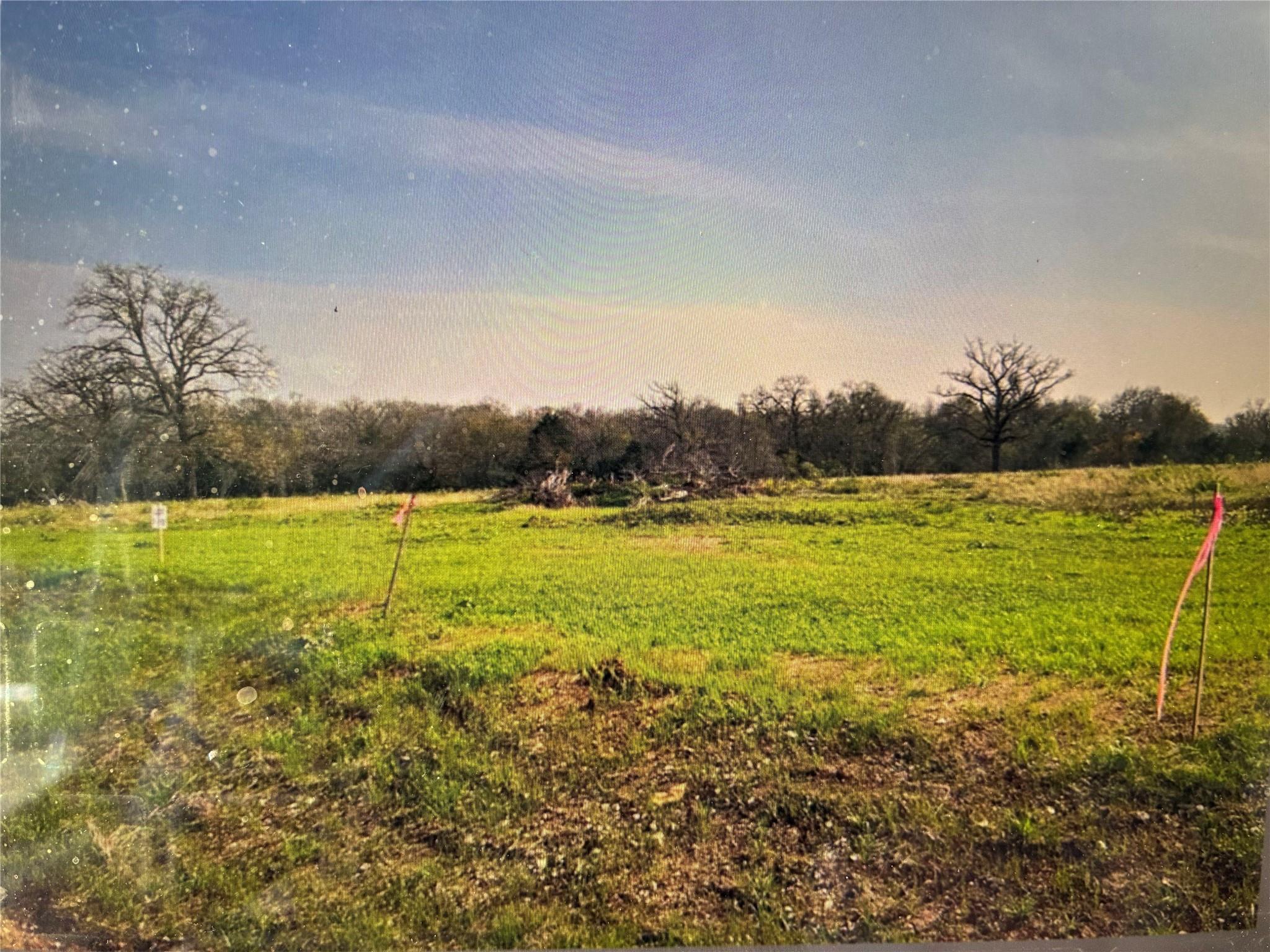 19032 FM 86 #1-12 — photo 3