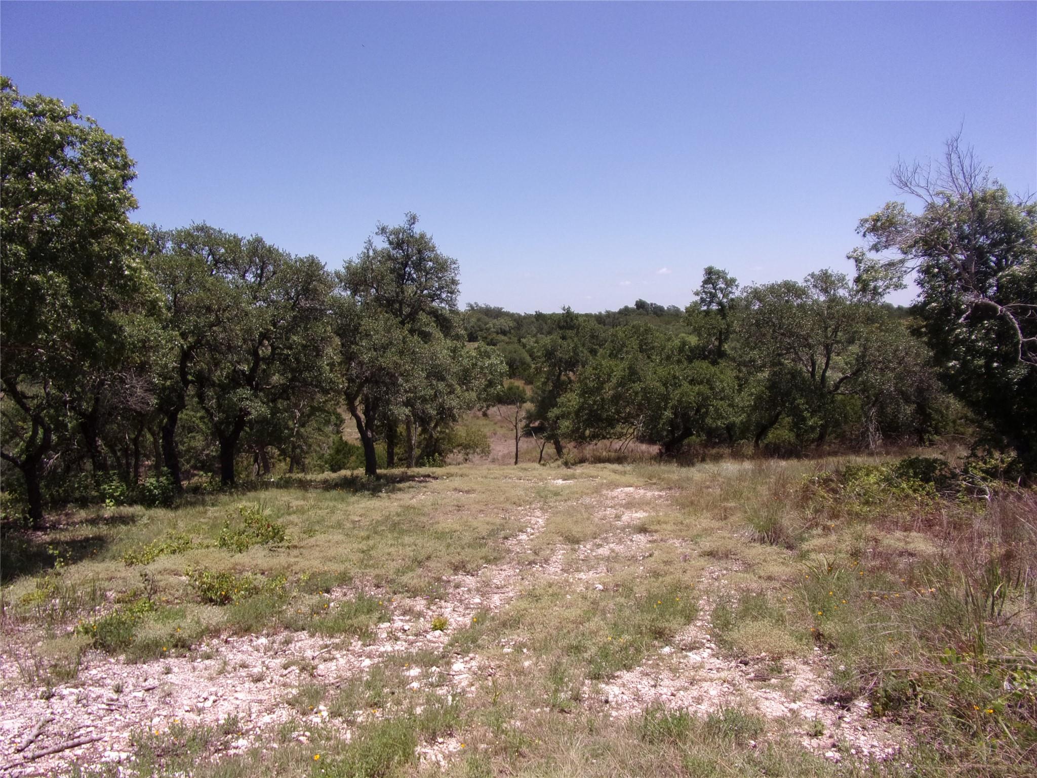 TBD Twisted Oak TRL — photo 3
