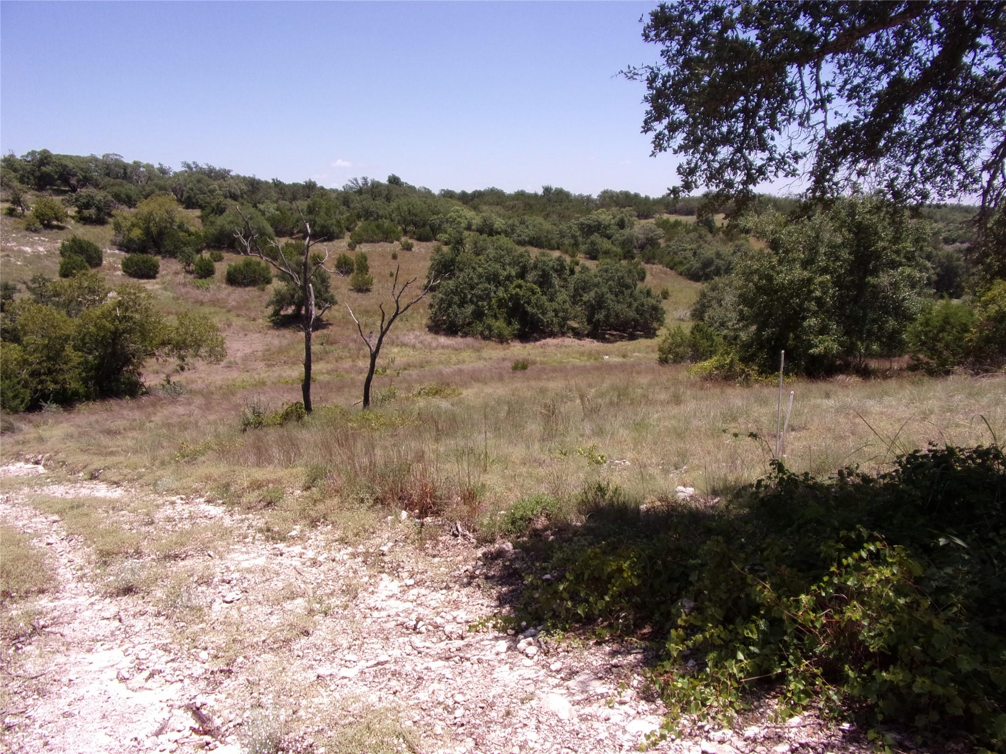 TBD Twisted Oak TRL — photo 4