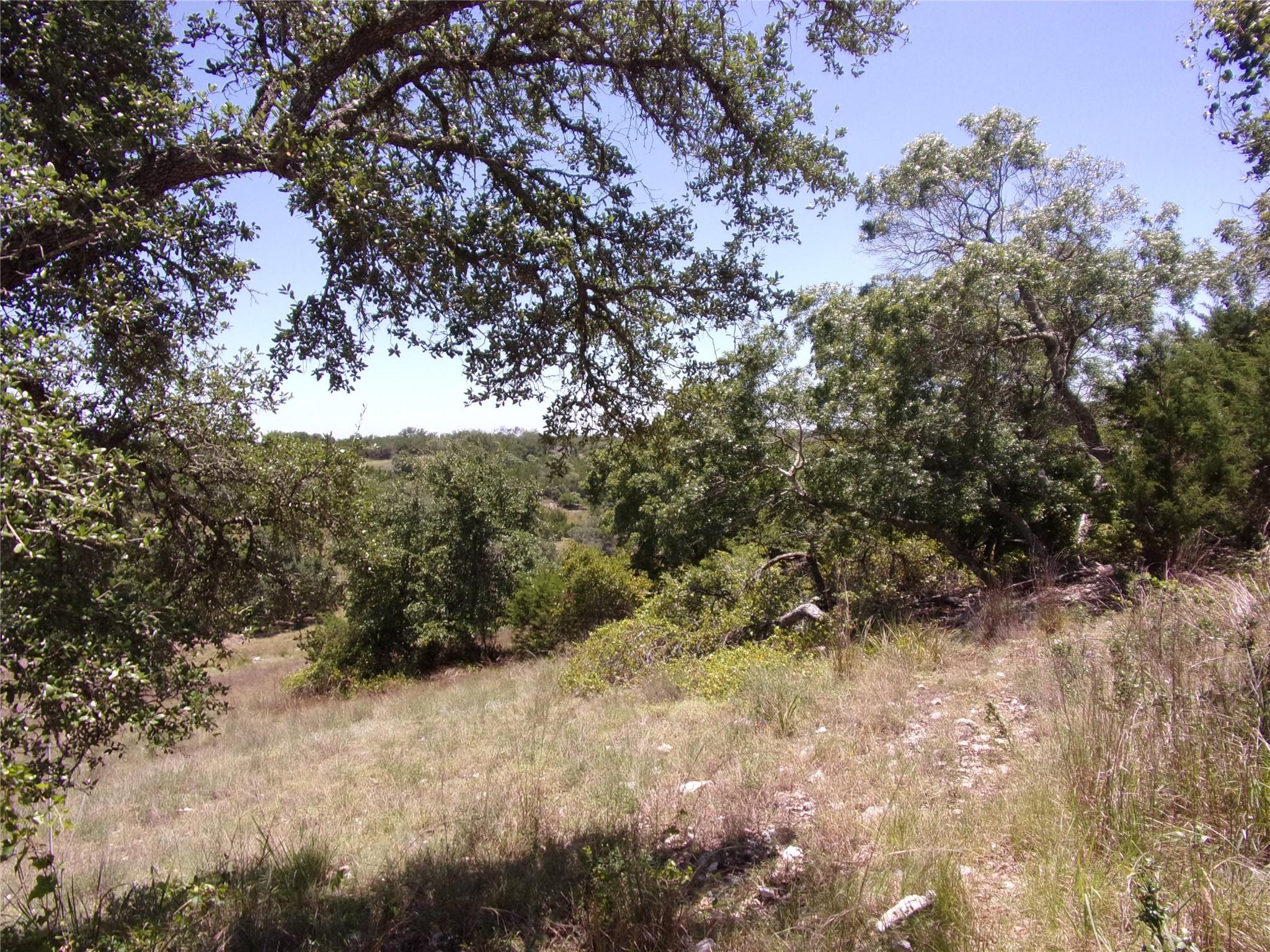 TBD Twisted Oak TRL — photo 5