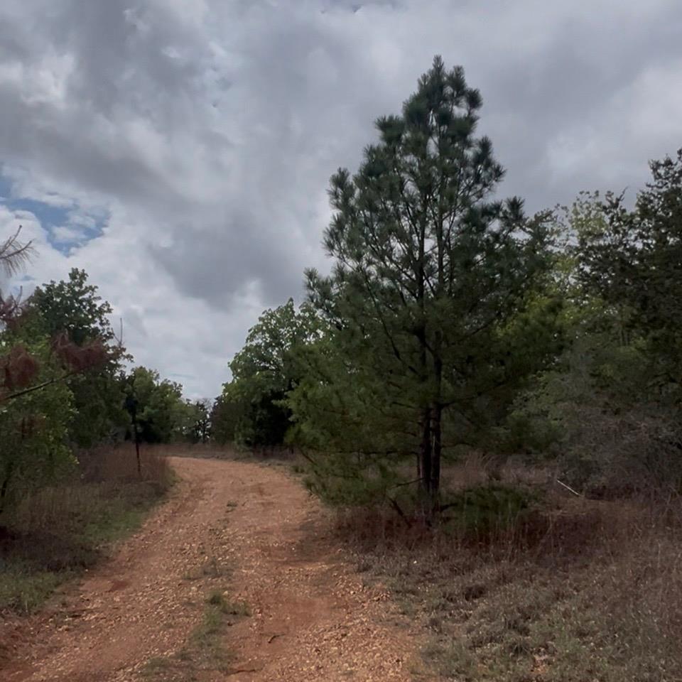 Lot 15 Antioch RD — photo 5