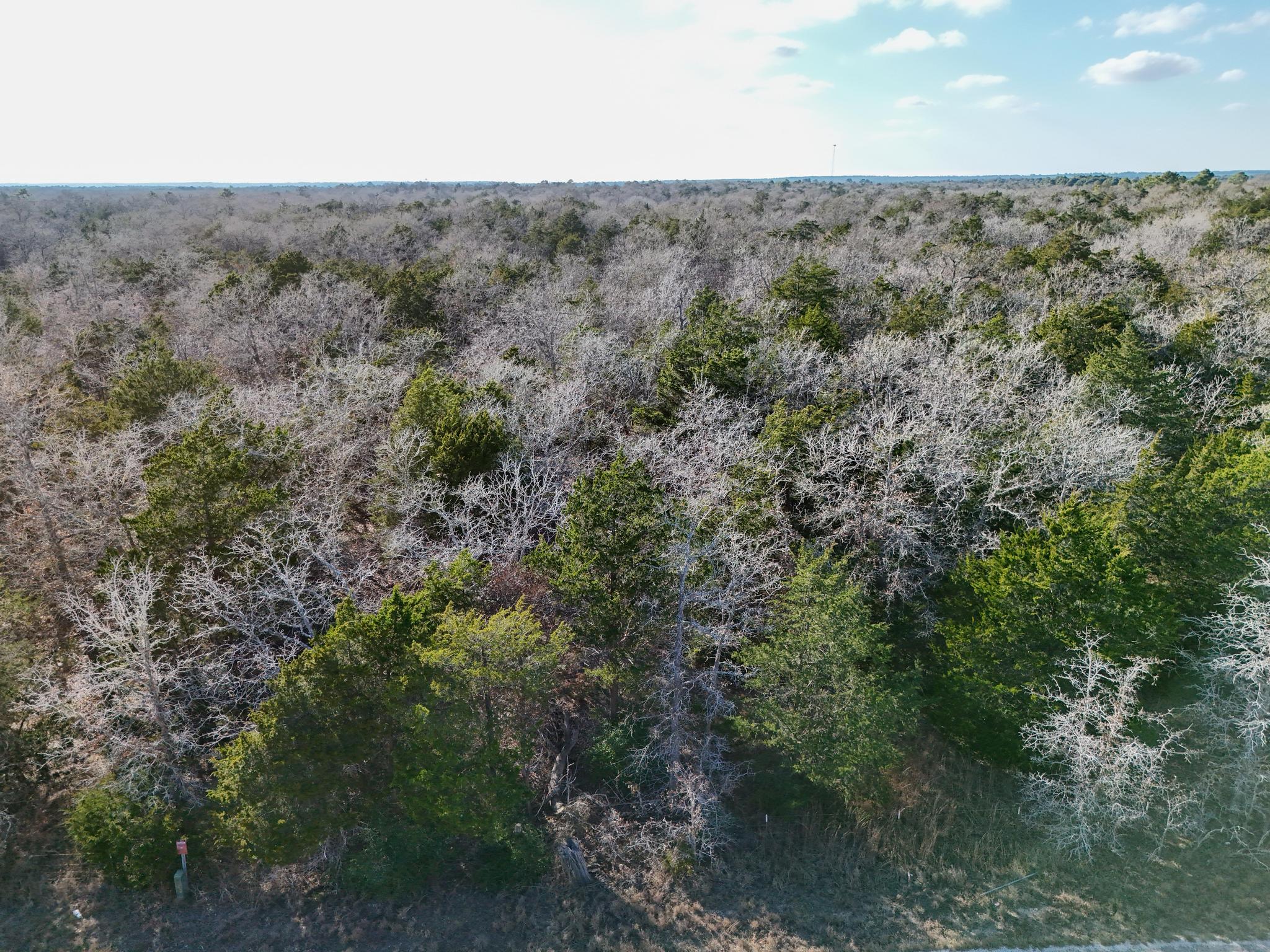 Lot 3 South Old Potato RD — photo 4