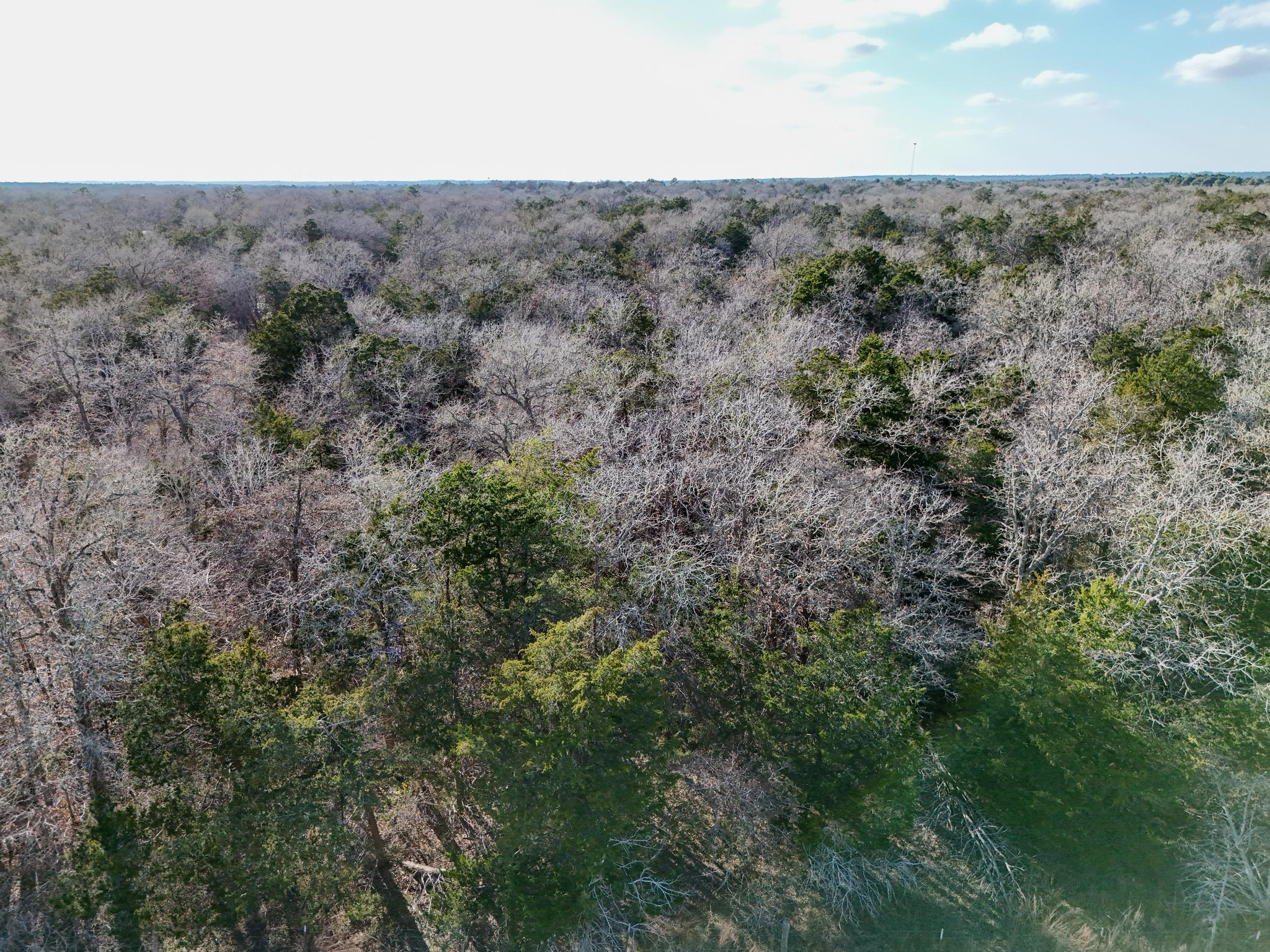 Lot 3 South Old Potato RD — photo 5