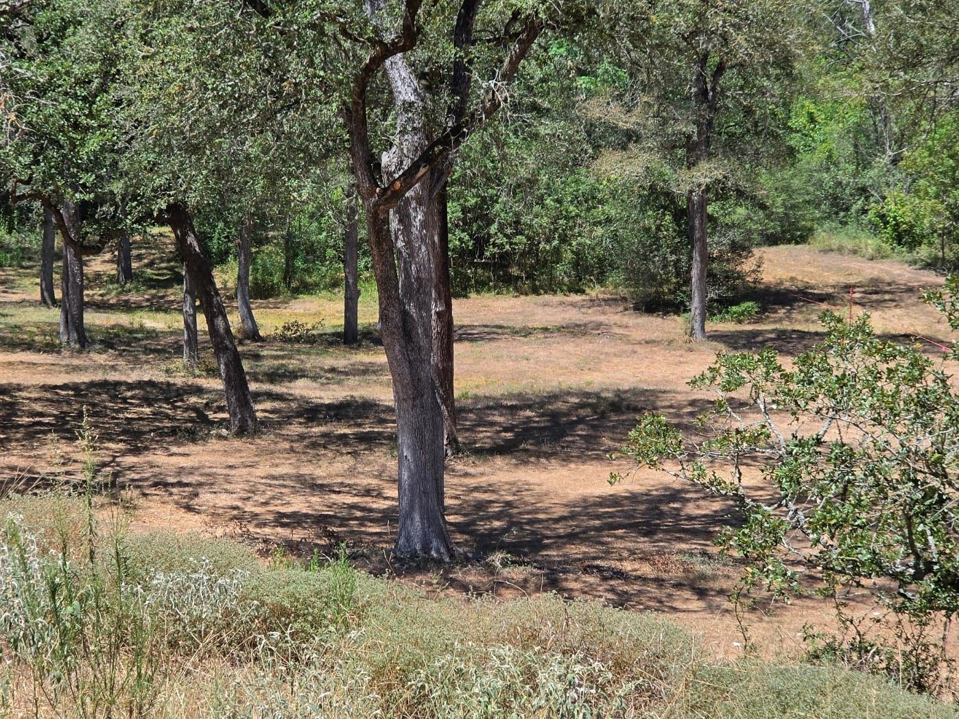 183 Wilbarger CV — photo 3