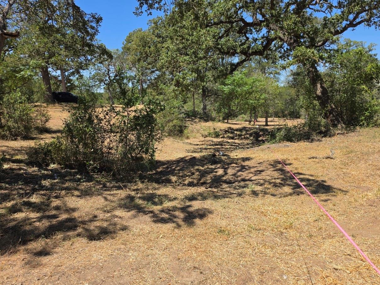 183 Wilbarger CV — photo 4
