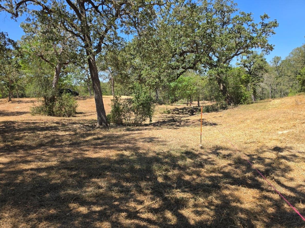 183 Wilbarger CV — photo 5