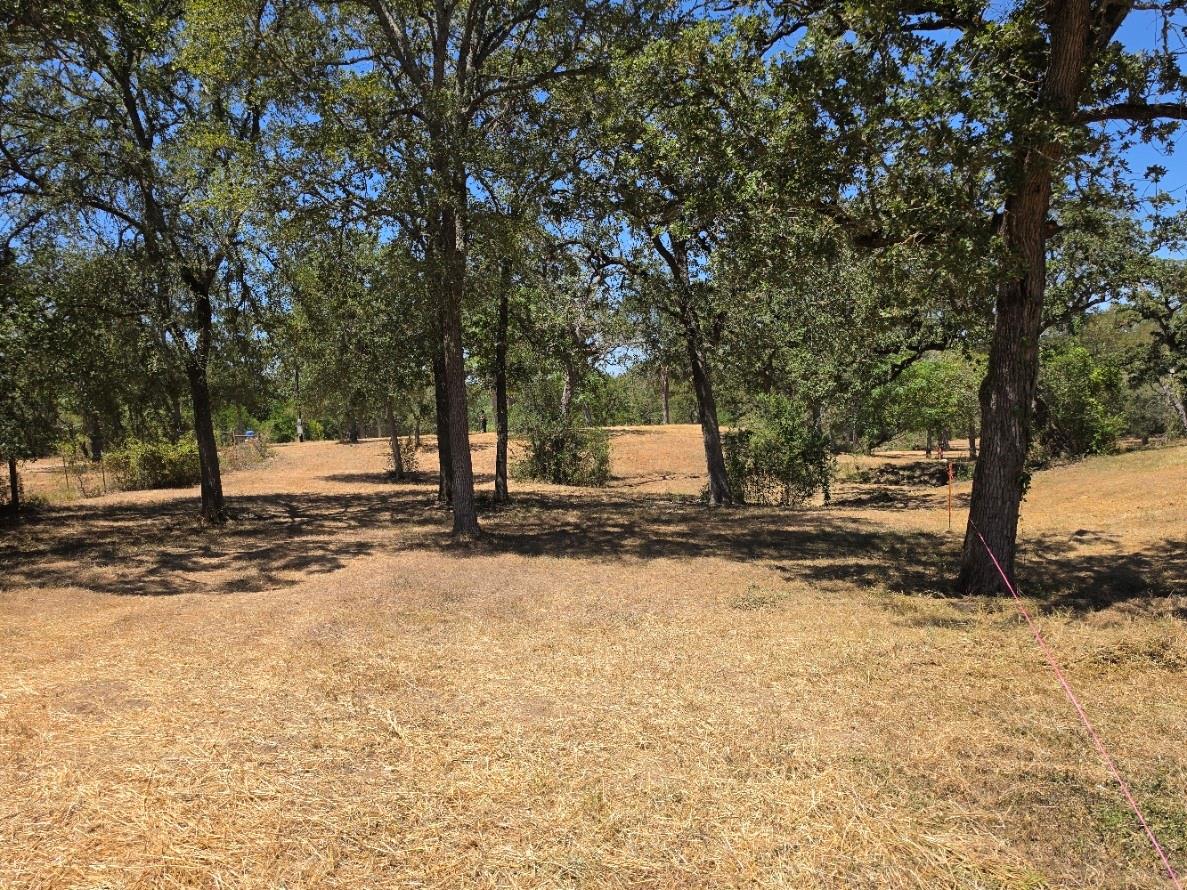 183 Wilbarger CV