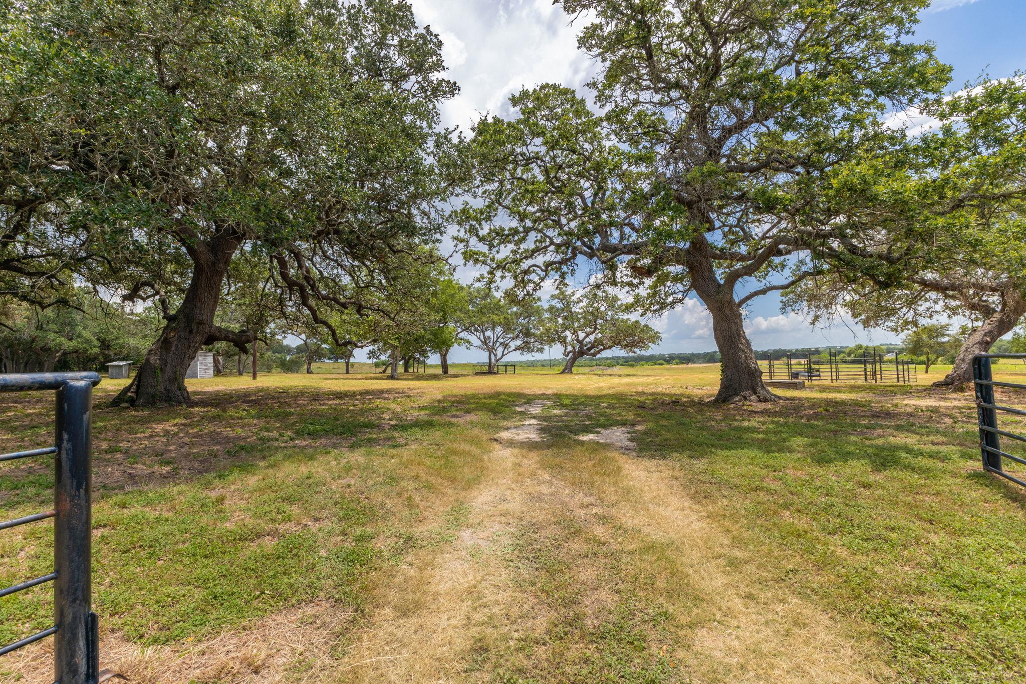 2160 (Tract #5) Baca LOOP