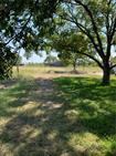 3150 CR 152 — photo 4