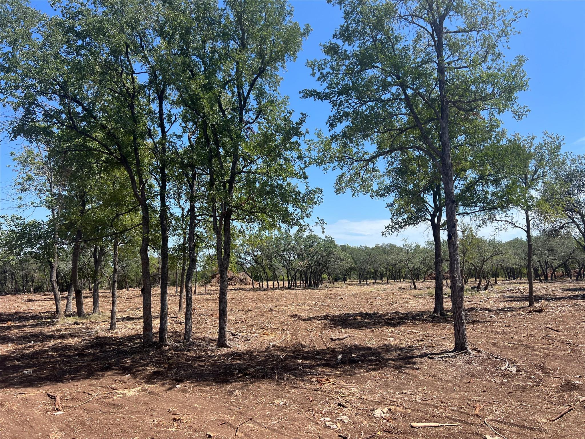 Lot 2 Trautwein RD — photo 5