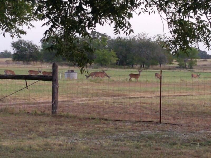 10905 S. FM 1915 FM 1915 Highway