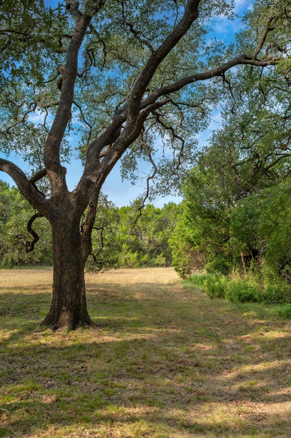 5021 Little Valley RD — photo 4