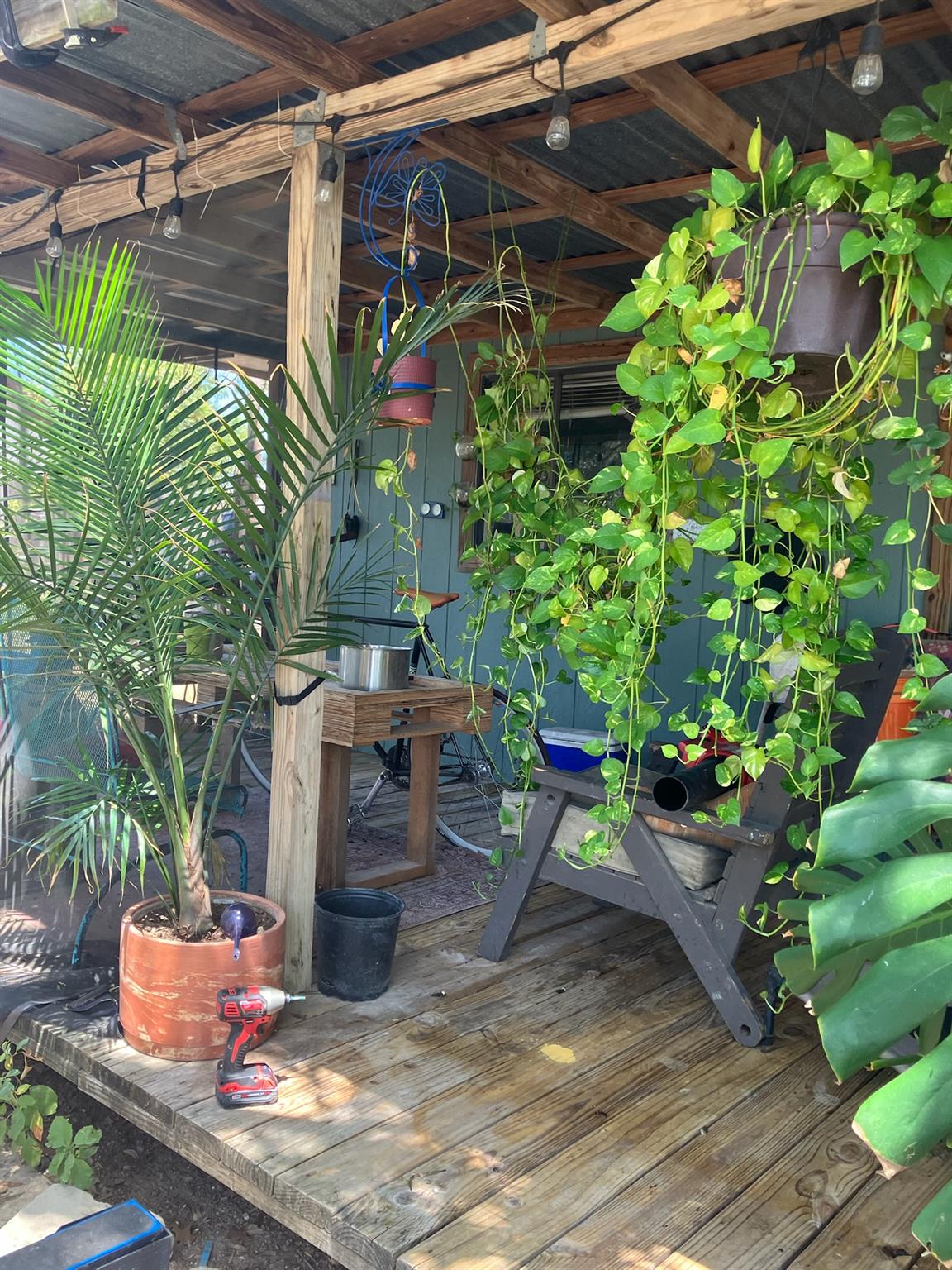 1903 Elysian FLDS — photo 4