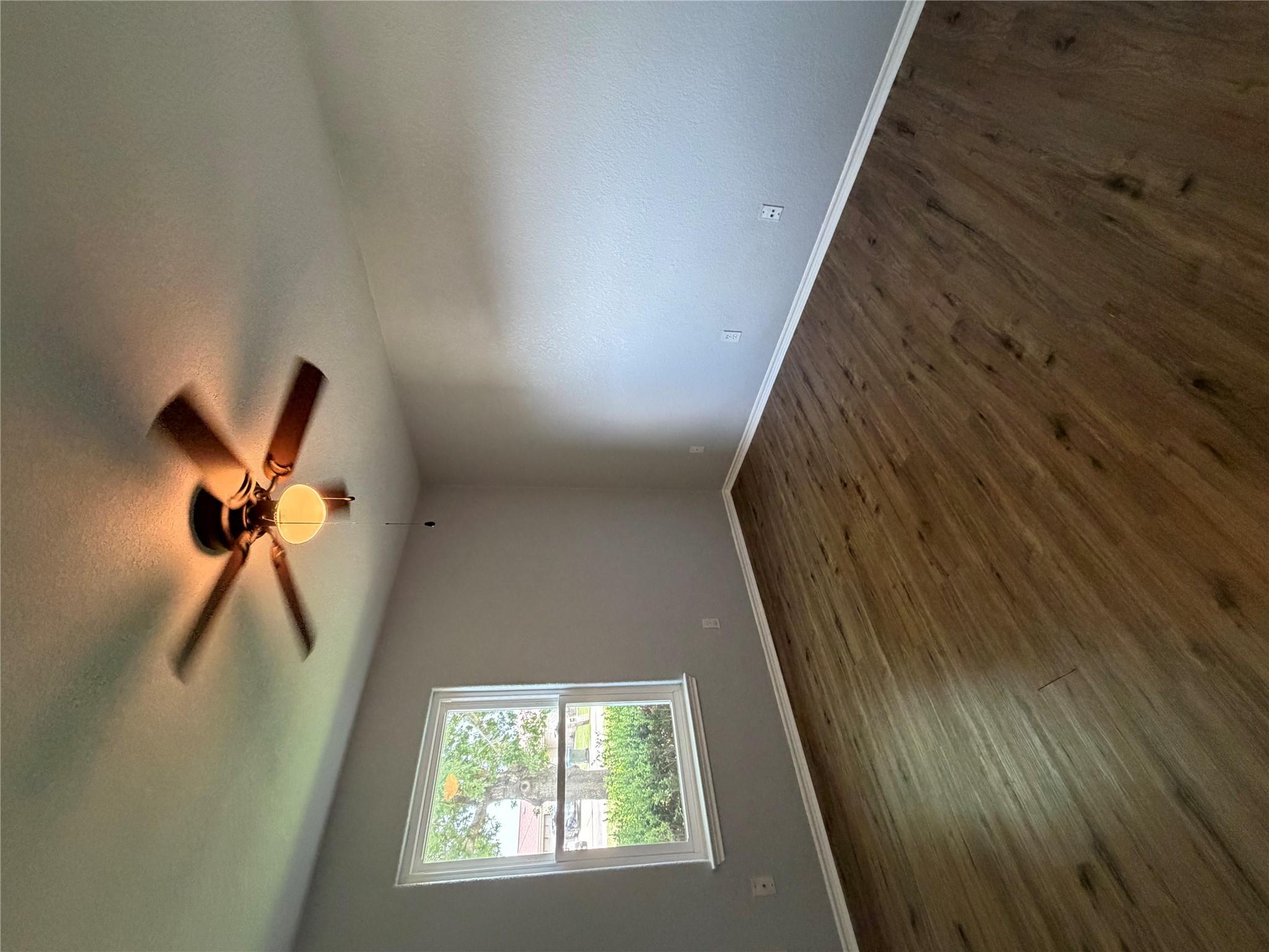 484 Cordova LOOP — photo 5