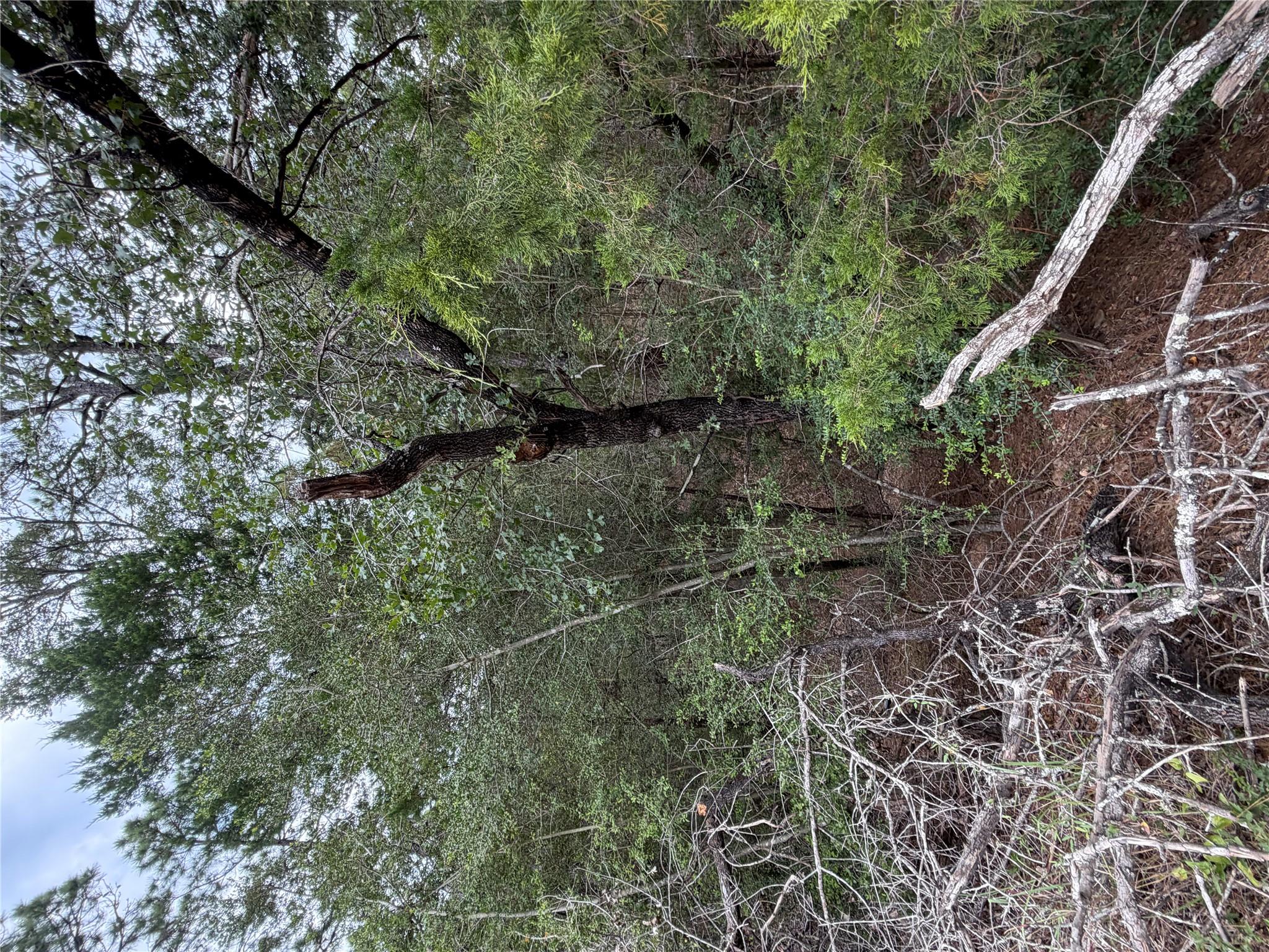 Lots  407 and 408 Molokini DR — photo 5