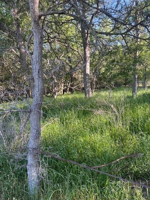 Lot 768 Kaukonahua LN — photo 3
