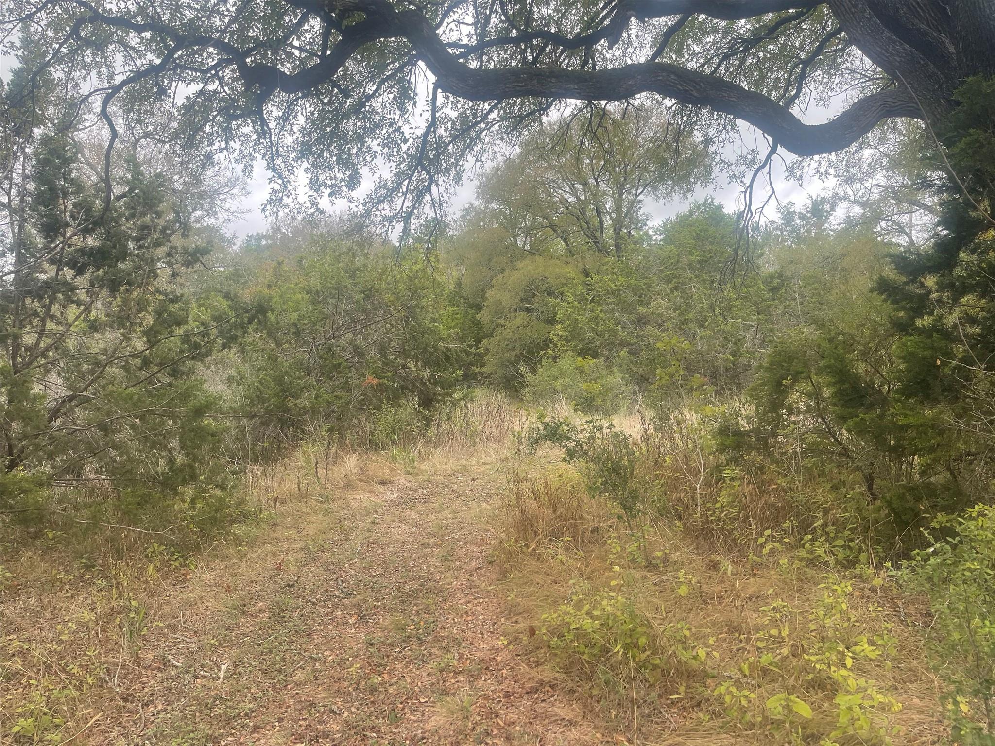 2151 - 2171 Onion Creek BND — photo 4