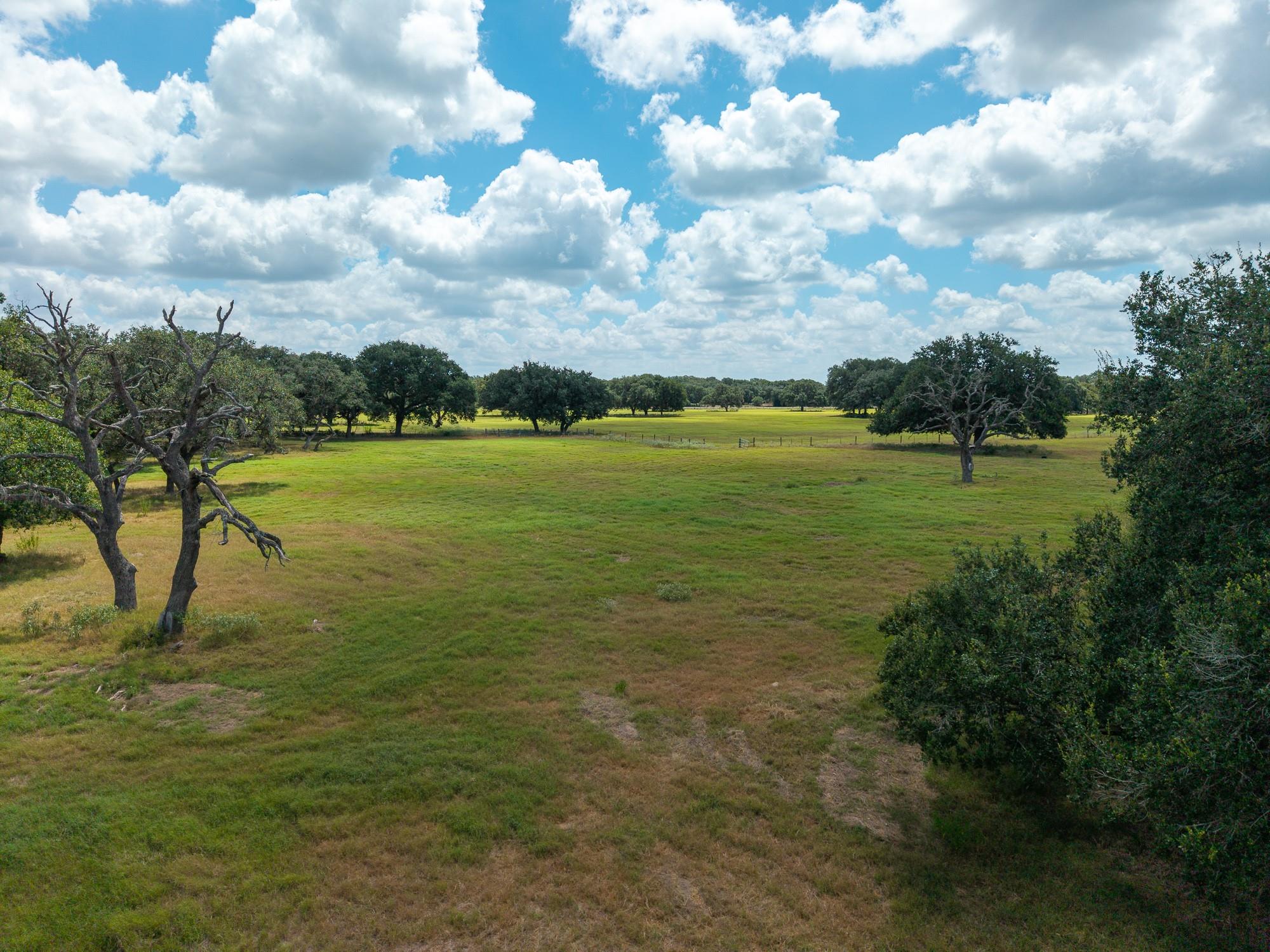 10338 FM 2437 — photo 5