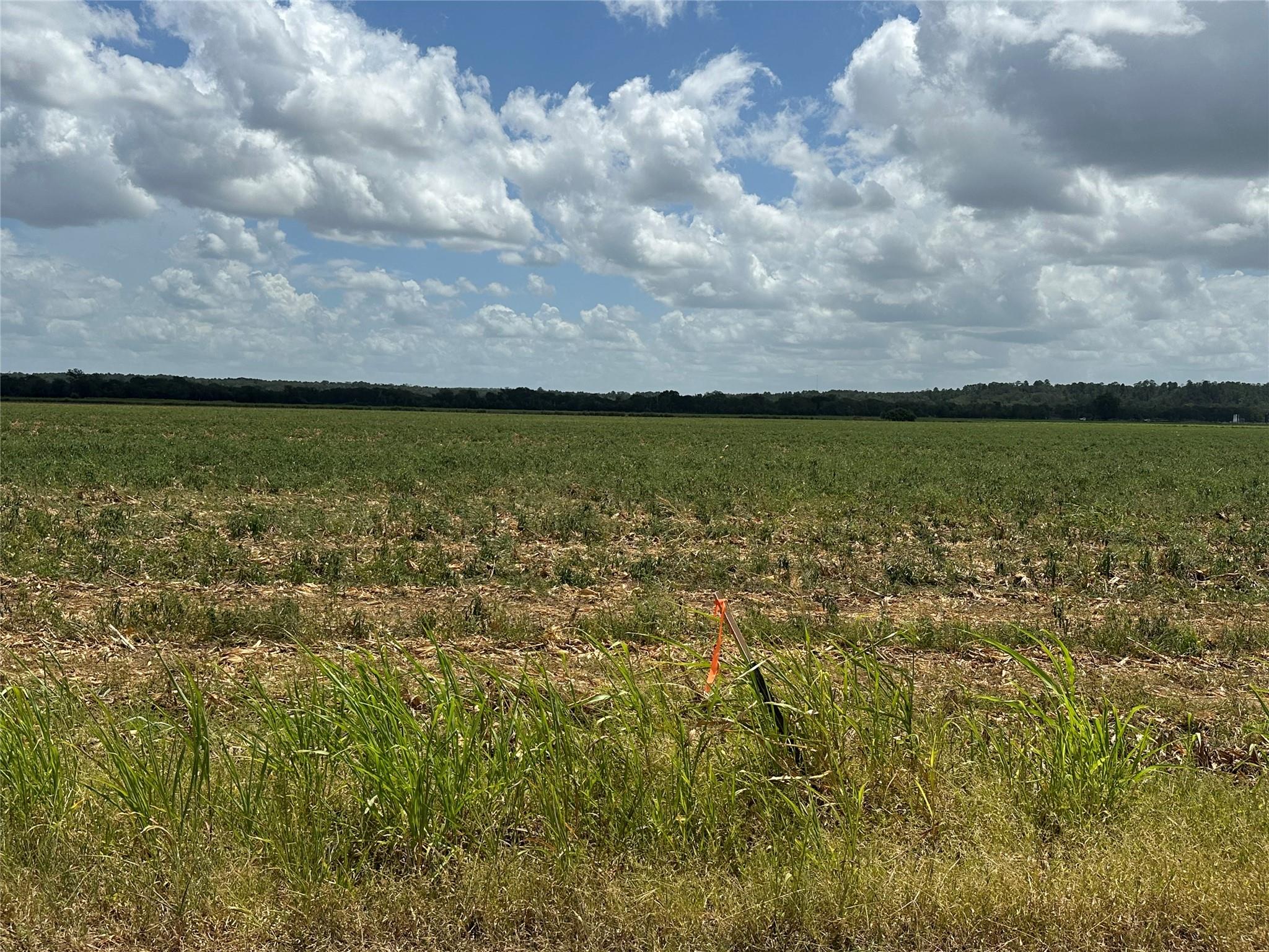 0000 Rabbs Prairie RD — photo 3