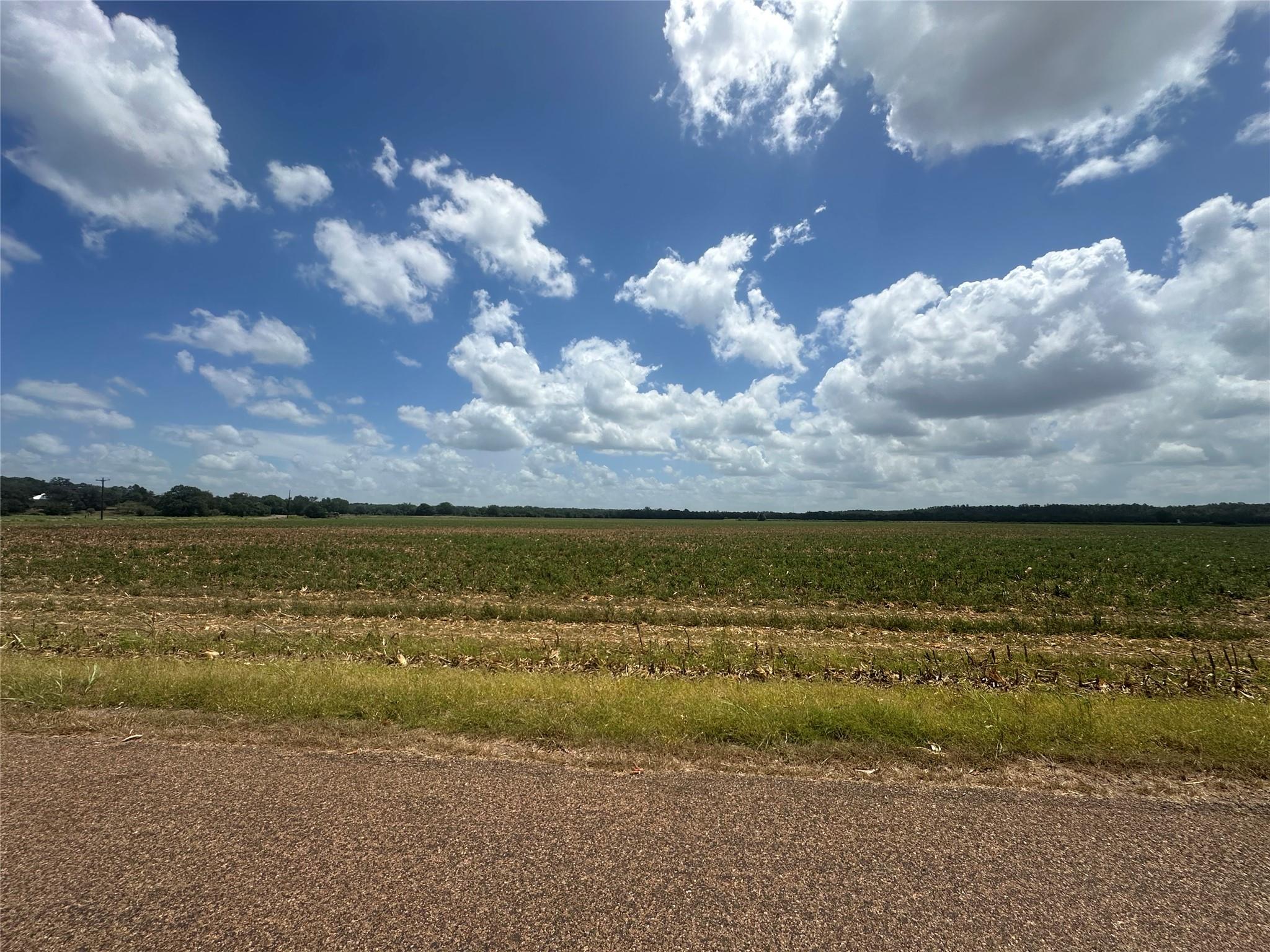 0000 Rabbs Prairie RD — photo 4