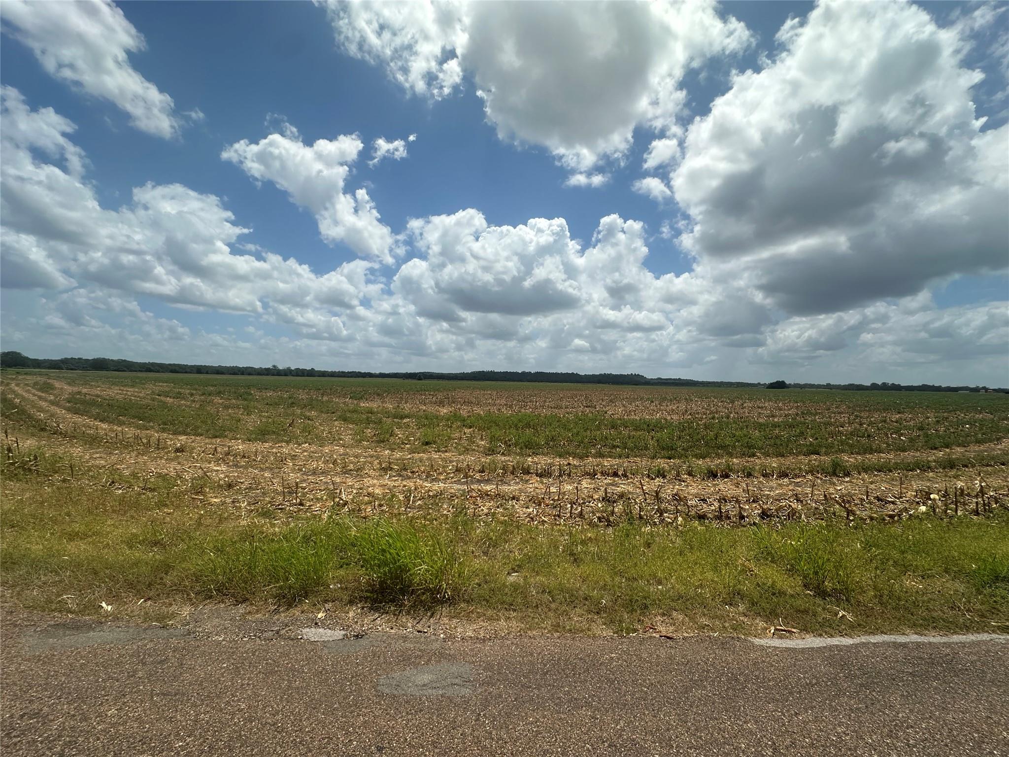 0000 Rabbs Prairie RD — photo 5