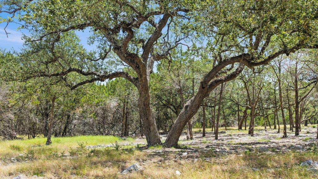 Tract 5 Cypress Cove RD — photo 3