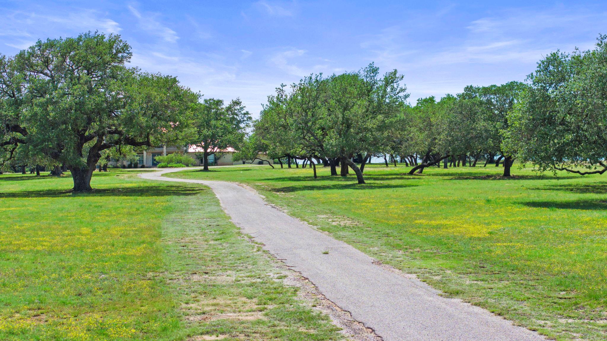 539 Oak Vista DR — photo 4